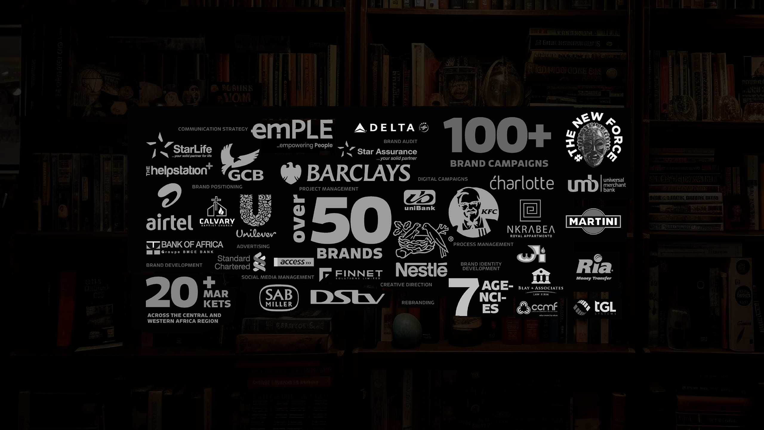 Professional Experience 1